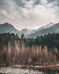 Snow covered mountains