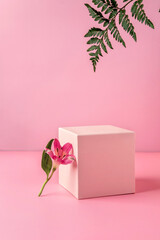 Pastel pink podium to show cosmetic products with fern leafs and flowers Alstroemeria on pink background.