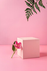 Pastel pink podium to show cosmetic products with fern leafs and flowers Alstroemeria on pink...