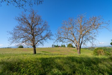 Monumento Naturale La Selva e Mola dei Piscoli _ Paliano - Frosinone - Lazio - Italia