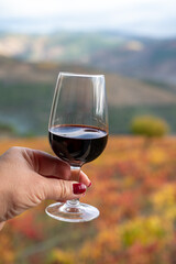 Tasting of Portuguese fortified port wine, produced in Douro Valley with colorful terraced vineyards on background in autumn, Portugal
