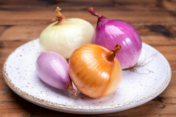 Onion collection, white, yellow, pink and purple onlons