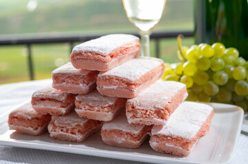 Symbols of Reims rose biscuits and champagne traditional sparkling wine and view on green vineyards...