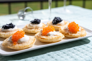 Tasting and pairing of french champagne wine with pancakes, creme fresh, red and black fish caviar and view on green vineyards of Champagne near Epernay on background