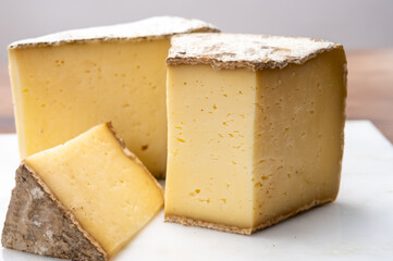 Cheese collection, Tomme de Savoie cheese from Savoy region in French Alps,  mild cow's milk cheese with beige interior and thick brownish-grey rind