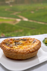 Fresh baked french quiche vegetable pie and vineyards on background