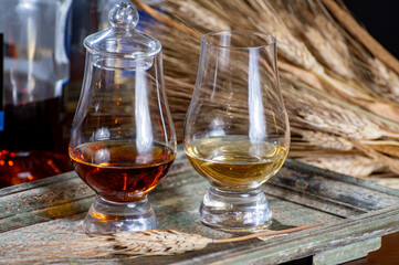 Glasses of scotch whisky served in bar in Edinburgh, Scotland, UK