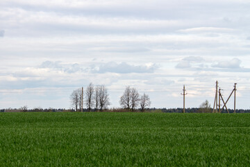 Fototapeta na wymiar power lines on a field