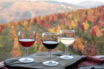 Tasting of Portuguese fortified port wines  produced in Douro Valley with colorful terraced vineyards on background in autumn, Portugal