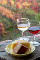 Taste of Portugal, fortified port wines and goat and sheep cheeses produced in Douro Valley with colorful terraced vineyards on background in autumn, Portugal