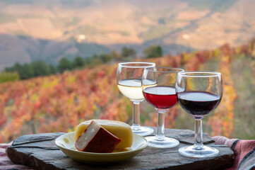 Taste of Portugal, fortified port wines and goat and sheep cheeses produced in Douro Valley with colorful terraced vineyards on background in autumn, Portugal - obrazy, fototapety, plakaty