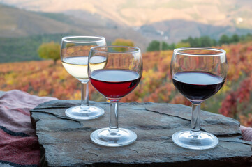 Tasting of Portuguese fortified port wines  produced in Douro Valley with colorful terraced vineyards on background in autumn, Portugal