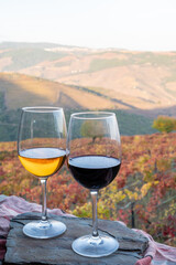 Glasses of Portuguese red dry and white sweet wine, produced in Douro Valley and old terraced vineyards on background in autumn, wine region of Portugal