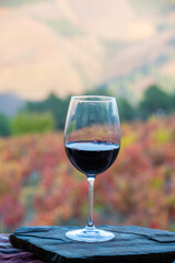 Glass of Portuguese red dry wine, produced in Douro Valley and old terraced vineyards on background in autumn, wine region of Portugal