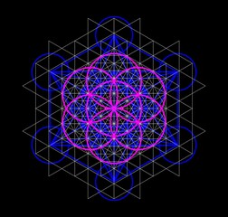 Fototapeta na wymiar Sacred Geometry - Metatron's Cube and Flower of life, Vector Illustration