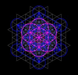 Naklejka premium Sacred Geometry - Metatron's Cube and Flower of life, Vector Illustration