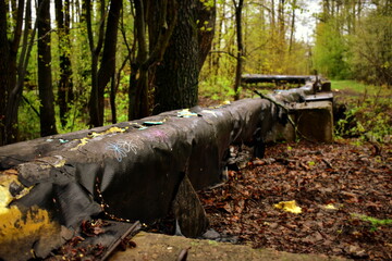 old heating main among the trees