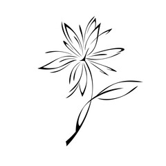 ornament 1756. stylized blooming flower on a stem with a single leaf black lines on a white background