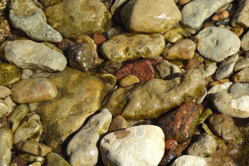 Various size wet stones (rocks) macro in the clear water of sea during a sunny day