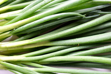 Green onion on green close-up on white background