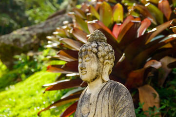 Natureza Temples