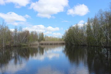 Fototapeta na wymiar Reflection on the pond
