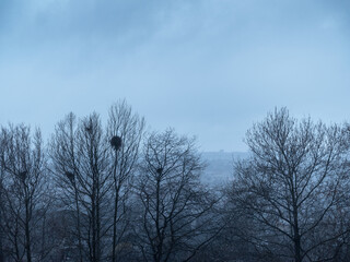 Beautiful landscape, a wave runs on the shore of the sea