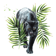 Black panther or jaguar with exotic tropical Leaves, Watercolor hand drawn illustration, isolated on white background © dariaustiugova
