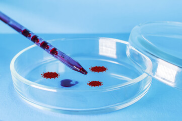 Medical laboratory. The virus-infected blood from the pipette is poured into a Petri dish on a blue...