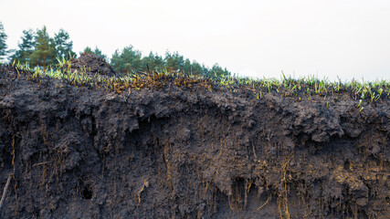 Countryside dirt road rising on a hill, natural landscape