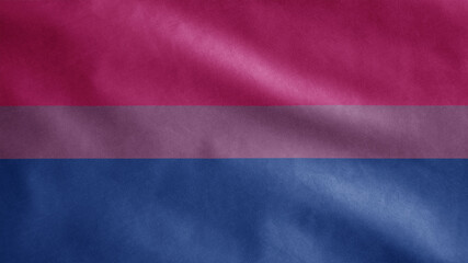 Bisexuality flag waving in the wind. Close up of Bisexual banner blowing.