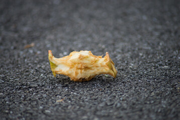 Closeup of apple core .abandonned in the street