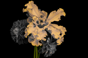 yellow flower and bouquet on a black background.