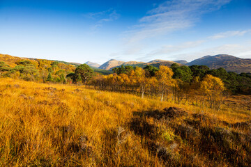 Scottish mountains in autumnal colors 