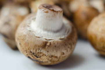 Raw and fresh mushrooms on a white background, vegetables from an organic farm
