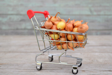 Lots of onions that can be planted in the garden and collected in a mini shopping cart on a wooden...