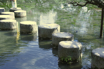 stones for walk in the pond