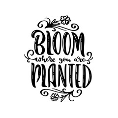 Bloom where you are planted hand drawn quote lettering. Floral motivational typography design. Perfect for t-shirt prints, posters. Vector vintage illustration.