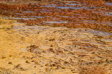 Structure of surface around orange mineral pool of natural water spring in Damia, Morocco, Africa