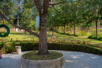 árbol decorado con luces y columpio de llanta 