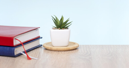 Minimal business composition with plant and diary on wooden desk