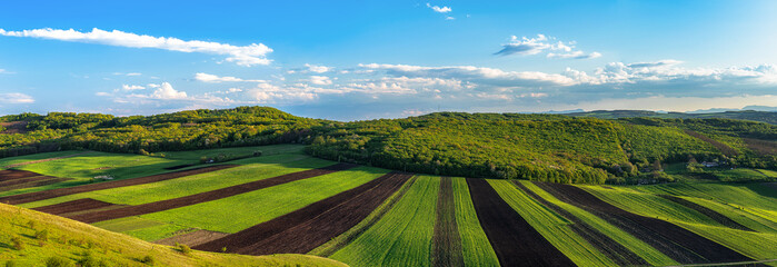 Countryside spring panorama sunny day green grass agriculture field and forest - 432709906