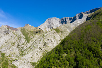 aerial view of the apuan alps with fir forest