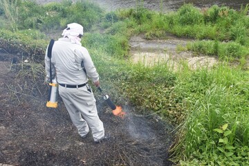 A scene of weeding with Grass firing burner.