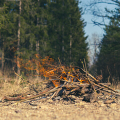 Fireplace