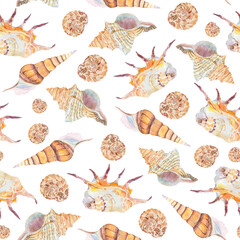 Watercolor seamless pattern with seashells