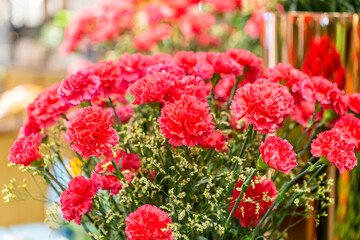 Bunch of red Canation flowers