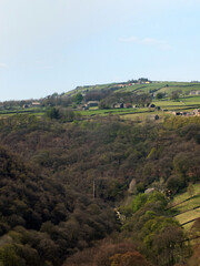 Fototapeta na wymiar view along the colden valley in calderdale near hebden bridge with the village of colden on the hills above the woodland