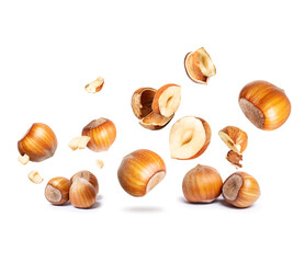Group of hazelnuts are falling down close-up on a white background
