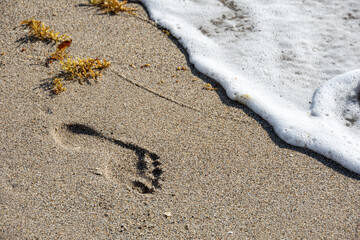 Fototapeta na wymiar Surf washing away footprints in sand